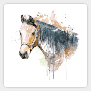 Watercolor Portrait - Brown Horse Head Magnet